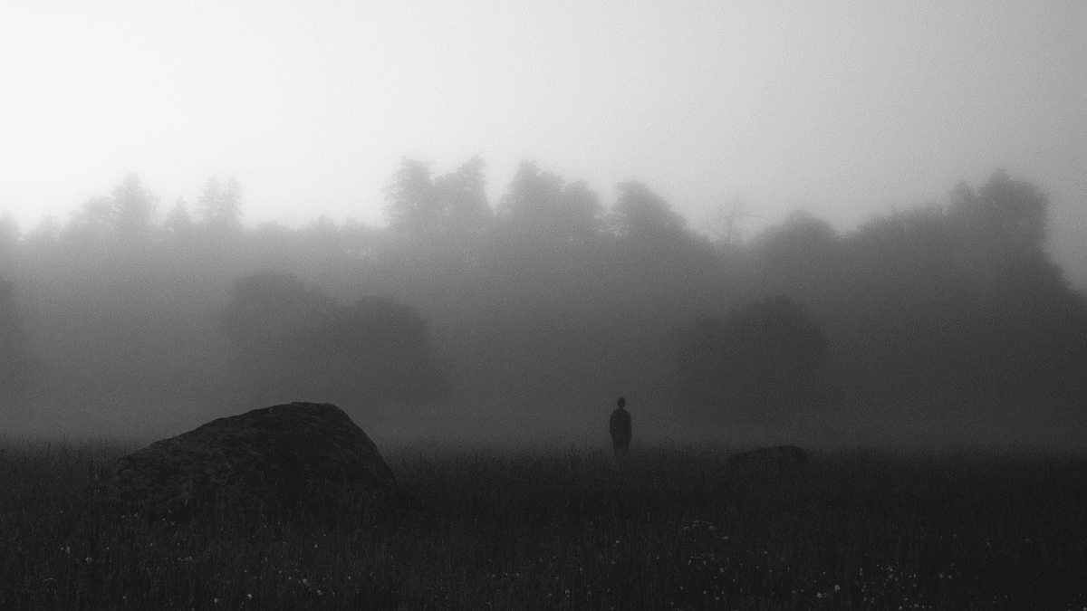 into the unknown